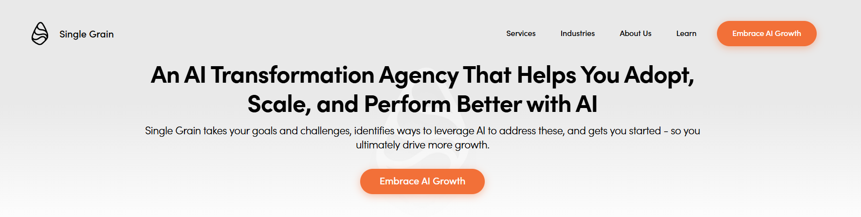 AI transformation agency Single Grain