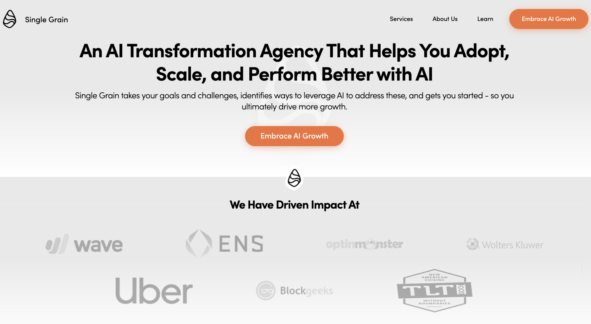 Single Grain AI Transformation Agency